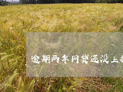 逾期两年网贷还没上征信
