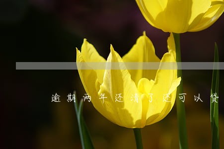 逾期两年还清了还可以贷款吗