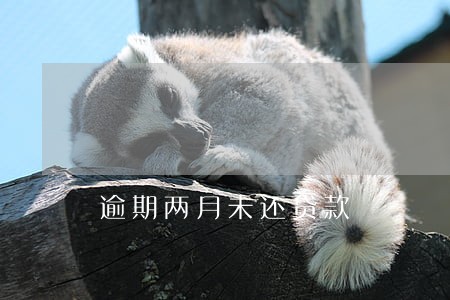 逾期两月未还贷款 逾期两月未还贷款