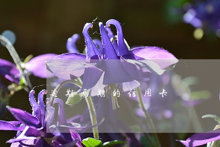 逾期两期的信用卡 逾期两期的信用卡