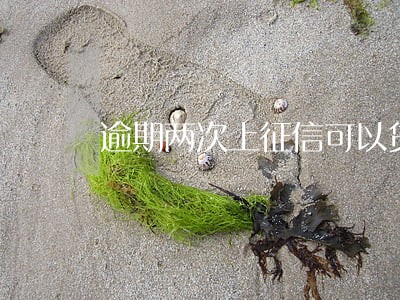 逾期两次上征信可以贷款吗 逾期两次上征信可以贷款吗