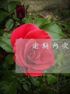 逾期两次信用卡会怎么样 逾期两次信用卡会怎么样