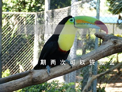 逾期两次可以贷款么 逾期两次可以贷款么