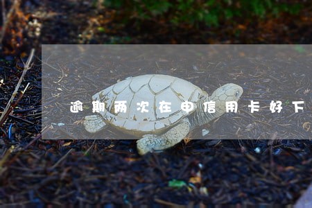 逾期两次在申信用卡好下吗 逾期两次在申信用卡好下吗