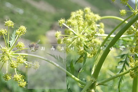 逾期两次对贷款影响吗
