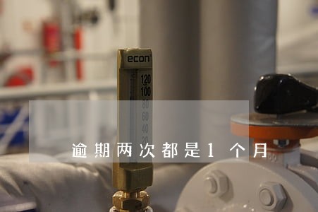 逾期两次都是1个月 逾期两次都是1个月