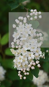逾期严重两年后能办信用卡吗 逾期严重两年后能办信用卡吗