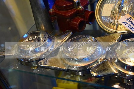 逾期严重农行能贷款吗 逾期严重农行能贷款吗