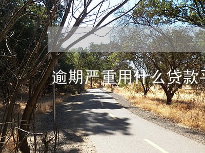 逾期严重用什么贷款平台 逾期严重用什么贷款平台