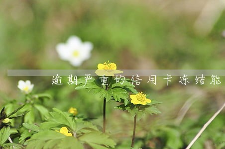 逾期严重的信用卡冻结能解冻吗 逾期严重的信用卡冻结能解冻吗