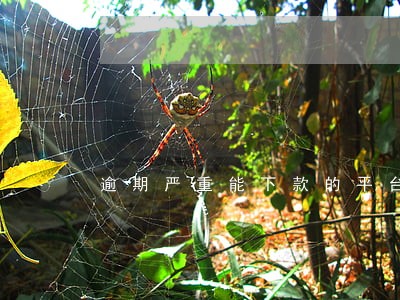 逾期严重能下款的平台2020 逾期严重能下款的平台2020