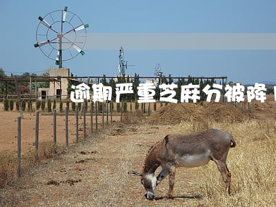 逾期严重芝麻分被降180分 逾期严重芝麻分被降180分