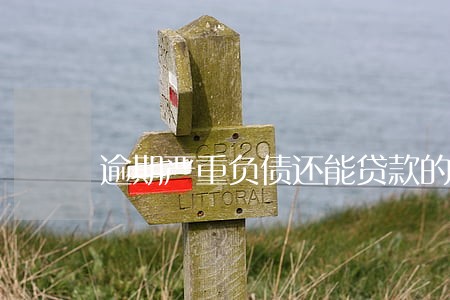 逾期严重负债还能贷款的口子6 逾期严重负债还能贷款的口子6