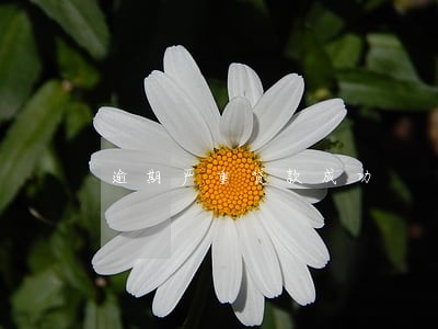 逾期严重贷款成功 逾期严重贷款成功