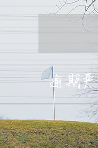 逾期严重黑户快速3秒下 逾期严重黑户快速3秒下