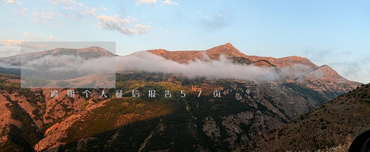 逾期个人征信报告57页 逾期个人征信报告57页