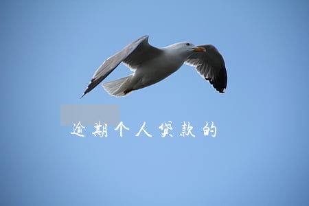 逾期个人贷款的 逾期个人贷款的
