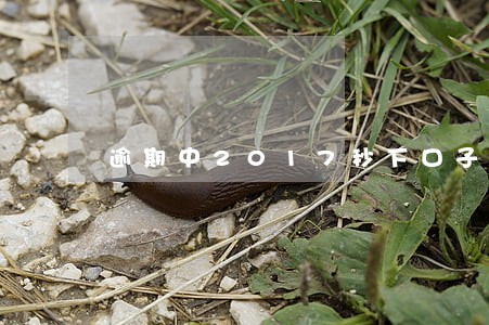 逾期中2017秒下口子