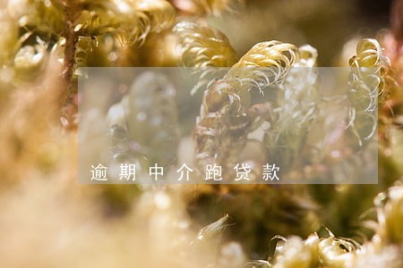 逾期中介跑贷款 逾期中介跑贷款