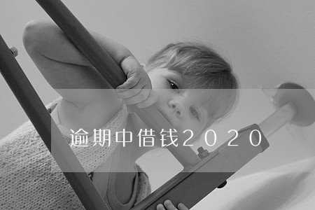 逾期中借钱2020 逾期中借钱2020