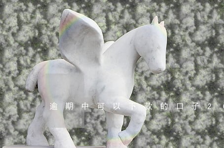 逾期中可以下款的口子2019 逾期中可以下款的口子2019