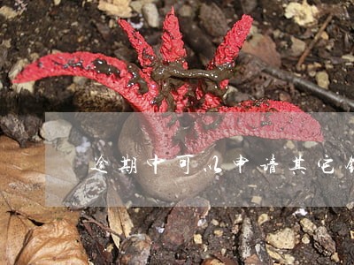 逾期中可以申请其它银行信用卡吗 逾期中可以申请其它银行信用卡吗