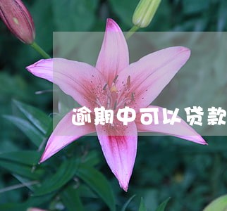 逾期中可以贷款的口子 逾期中可以贷款的口子