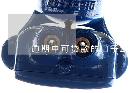 逾期中可贷款的口子2021 逾期中可贷款的口子2021