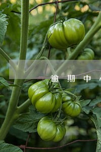 逾期中心021发短信是真的吗 逾期中心021发短信是真的吗