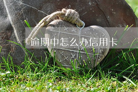逾期中怎么办信用卡 逾期中怎么办信用卡
