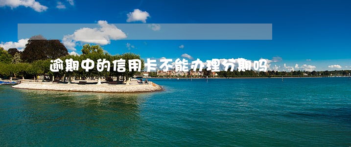 逾期中的信用卡不能办理分期吗 逾期中的信用卡不能办理分期吗