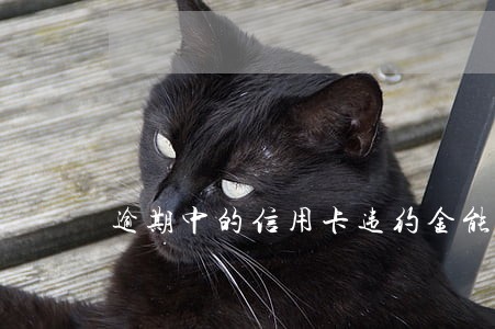 逾期中的信用卡违约金能退吗 逾期中的信用卡违约金能退吗
