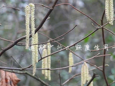 逾期中行0额度信用卡 逾期中行0额度信用卡