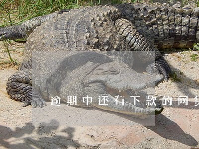 逾期中还有下款的网贷