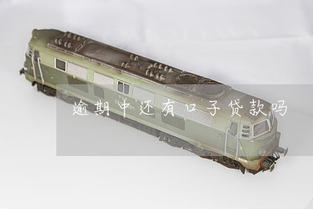逾期中还有口子贷款吗 逾期中还有口子贷款吗