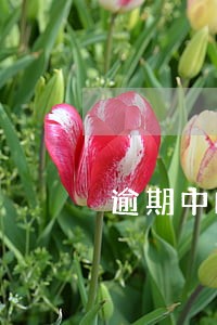 逾期中邮消费金融4天了怎么办 逾期中邮消费金融4天了怎么办