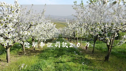 逾期举证罚款20万 逾期举证罚款20万
