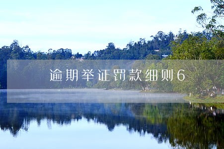 逾期举证罚款细则6 逾期举证罚款细则6