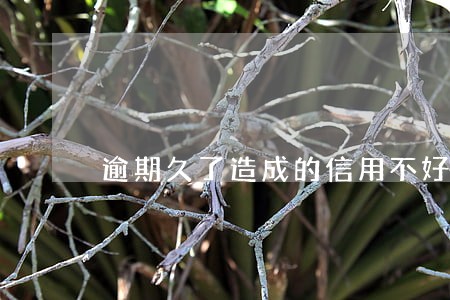逾期久了造成的信用不好怎么办