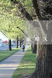 逾期久后所有信用卡都会降额吗 逾期久后所有信用卡都会降额吗