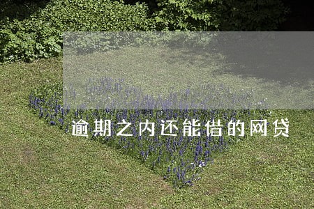 逾期之内还能借的网贷 逾期之内还能借的网贷