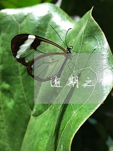 逾期之前打12378协商有用吗 逾期之前打12378协商有用吗
