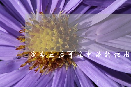 逾期之后可以申请的信用卡 逾期之后可以申请的信用卡