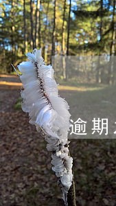 逾期之后多久恢复信用 逾期之后多久恢复信用