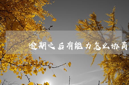 逾期之后有能力怎么协商只还本金 逾期之后有能力怎么协商只还本金