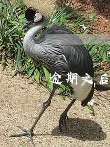 逾期之后的信用卡保留多久 逾期之后的信用卡保留多久