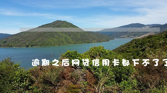 逾期之后网贷信用卡都下不了了 逾期之后网贷信用卡都下不了了