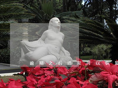 逾期之后还完可以恢复征信吗 逾期之后还完可以恢复征信吗