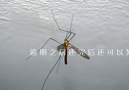 逾期之后还完后还可以累计信用吗 逾期之后还完后还可以累计信用吗