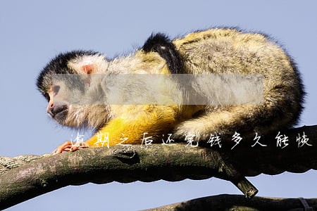 逾期之后还完钱多久能恢复额度 逾期之后还完钱多久能恢复额度